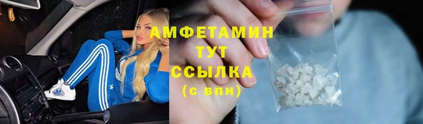 прущие грибы Алексин