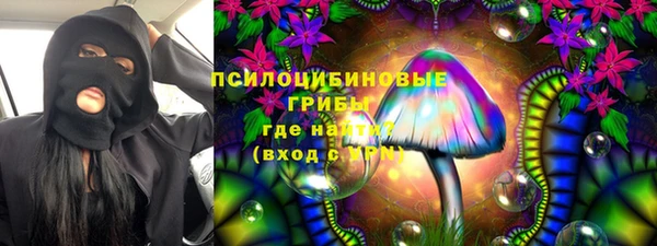 прущие грибы Алексин