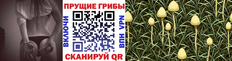 Галлюциногенные грибы Magic Shrooms  продажа наркотиков  Лаишево 